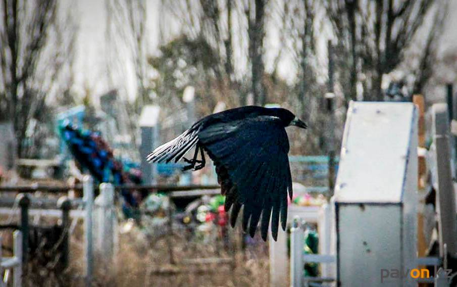 775048fb1133848cab1f68d3239d7871b00a612b